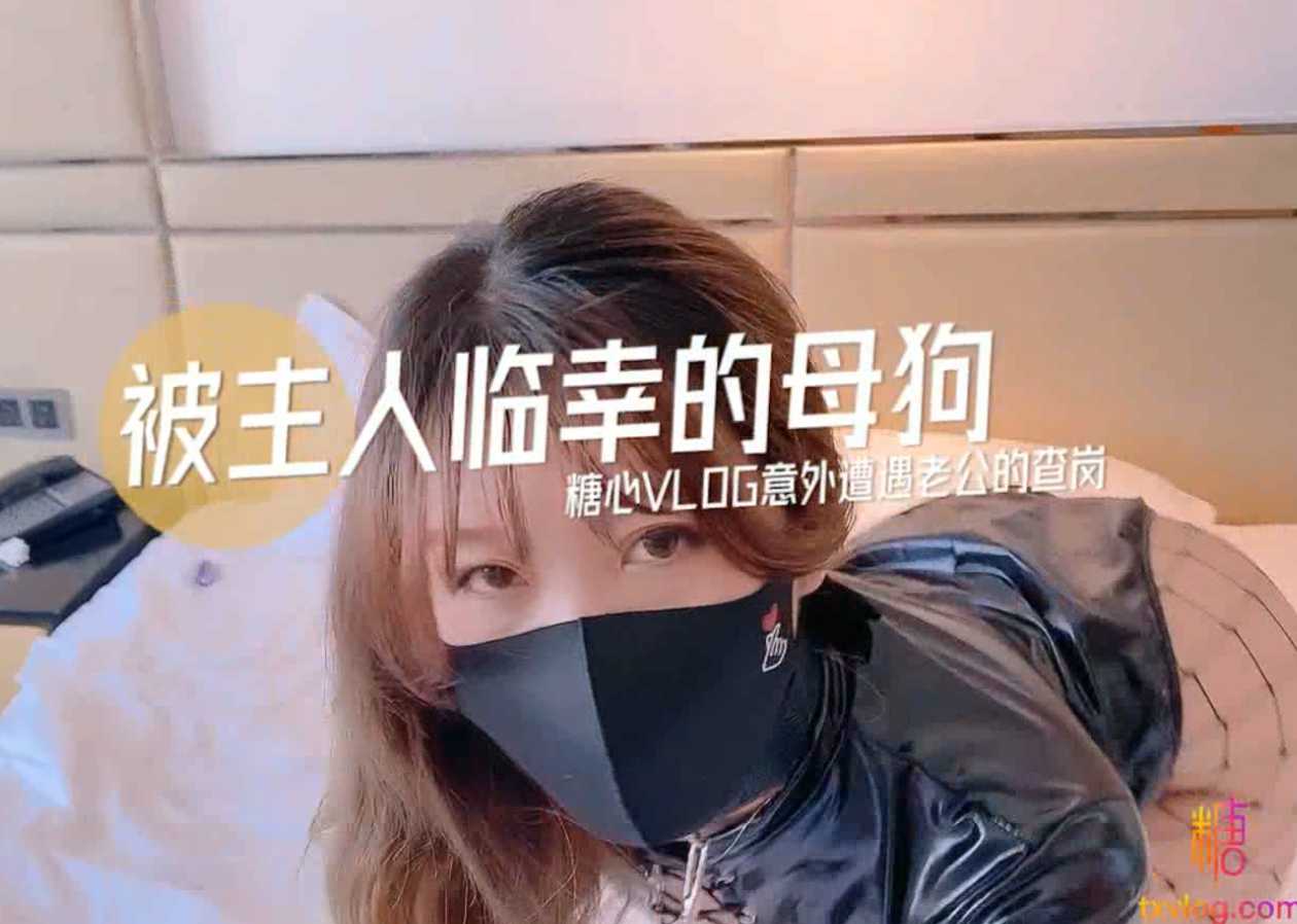 超人气美少女糖心Up意外遭老公的查岗被主人幸临调教的小母狗[1V/674MB]-集乐社