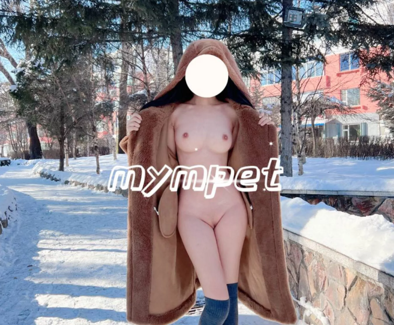 【重磅核弹】极品颜值女神【mympet】VIP福利合集，非推特免费资源，露出裸舞抖音风换衣啪啪，完美露脸-集乐社